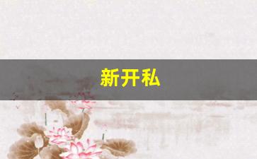 热血江湖新开sf：新开私(新开私股) (3)